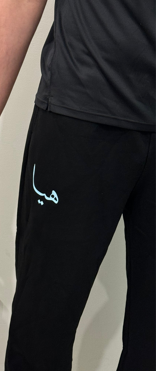 MODESTY PANTS